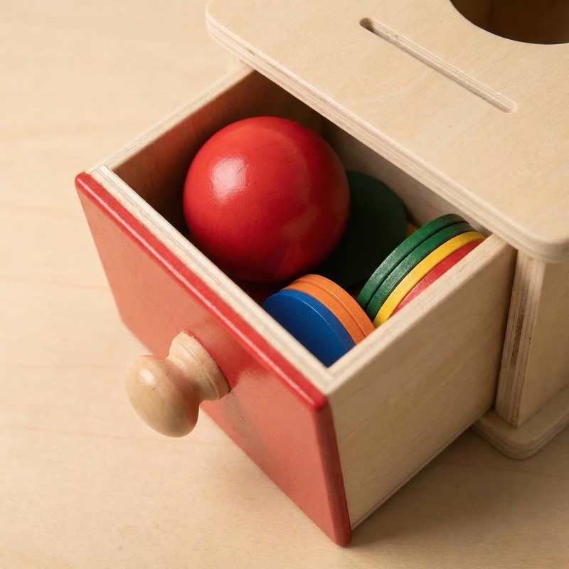 Toyvian Montessori, giocattolo in legno, 2 in 1, Montessori, con