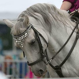 RIDING GEARS Pelham Horse Bit Double Jointed with Oval Link Stainless Steel (4.75 INCH)