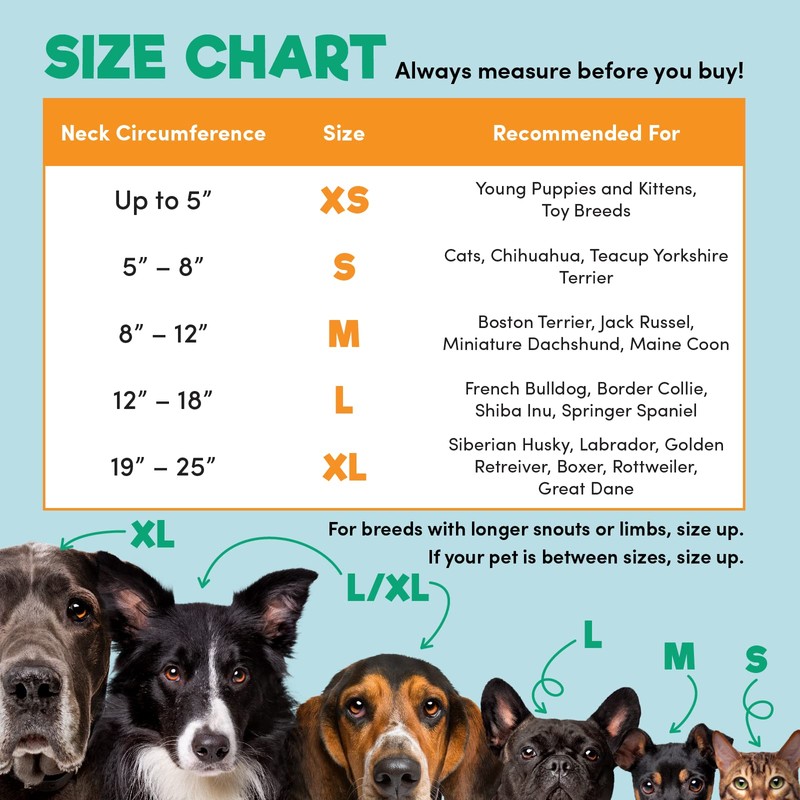 BENCMATE Protective Inflatable Collar for Dogs and Cats - Soft