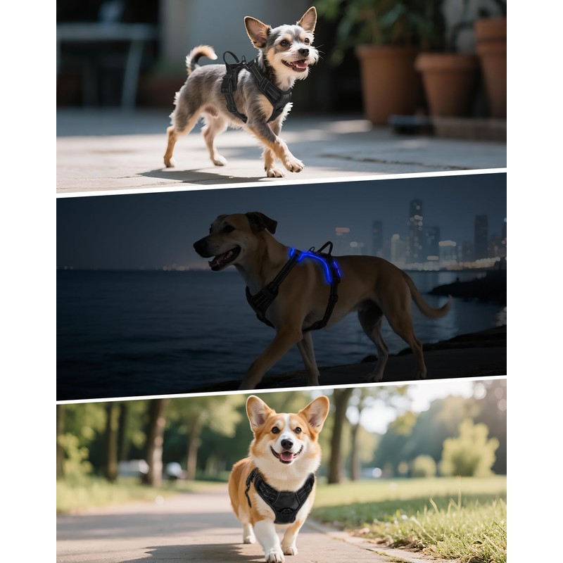Joytale Light Up Dog Harness, No Pull Dog Harness USB