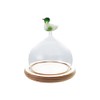 Creative Co-Op Glass Cloche with Wood Base and Duck Topper,