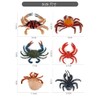 Neko Kamiyama, Coconut Crab, Sea Fish Crab, Sea Fish, Rock,