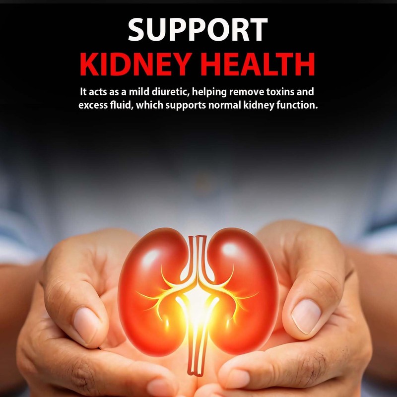 VEDIKROOTS Avipattikar Churna Powder 3.52 Ounce (Pack of 1)