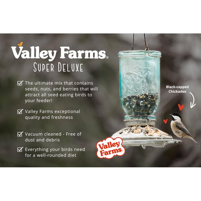 Valley Farms Super Deluxe Wild Bird Food (15 LB) for