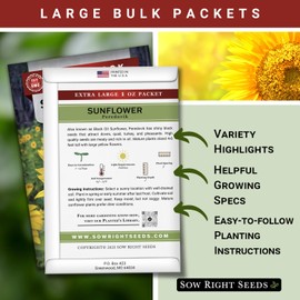 Sow Right Seeds - Bulk Peredovik Sunflower Seeds for Planting - 1 Ounce, 550 Seeds - Non-GMO Heirloom Jumbo Pack with Instructions to Plant a Home Flower Garden - Grow Loads of Vibrant Blooms
