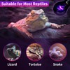 LUCKY HERP Reptile Heat Lamp 50W 2 Pack, Reptile Night