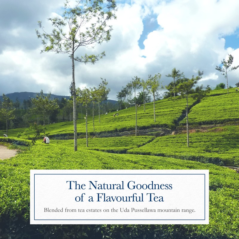 Mortier’s Earl Grey Tea Bags, Premium Black Tea with Bergamot