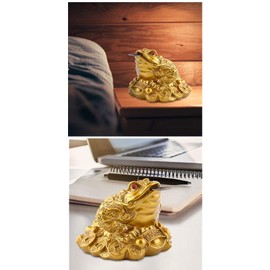 WYMAODAN Lucky Frog Coin, Feng Shui Toad Coin, Money, Lucky Frog, Chinese Lucky Charm for Prosperity, Home Decoration, Gift with a Lucky Bag