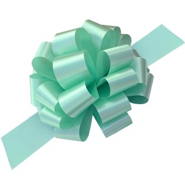 Lazos grandes de cinta verde menta, 23 cm de ancho, juego de 6, Pascua, Día de San Patricio, Navidad, Canasta de regalo, Regalos, Cumpleaños, Primavera, Recaudación de fondos, Cumpleaños, Decoración, Aula