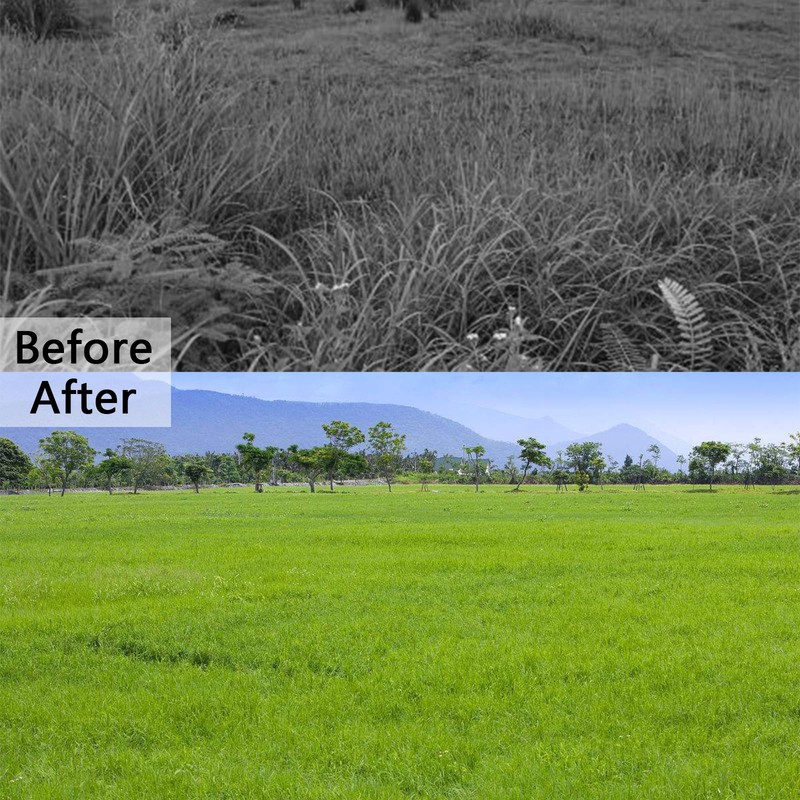 TOPROAD Weed Puller Tool, Heavy Duty Stand Up Weed Puller