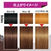 GATSBY Natural Bleach Color Clear Brown [HTRC5.1]