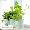 Herb Planter Indoor | Grow Fresh Herbs At Home |