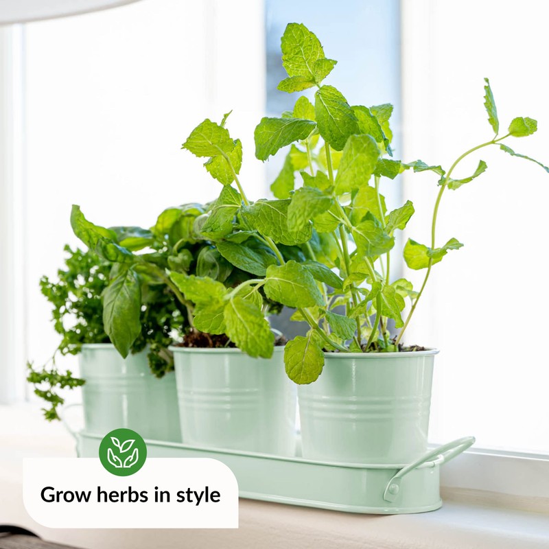 Herb Planter Indoor | Grow Fresh Herbs At Home |