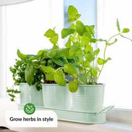 Herb Planter Indoor | Grow Fresh Herbs At Home | Herb Pots for Kitchen & Windowsill | Kitchen Herb Garden | Indoor Herb Planter | Includes Drain Hole | Garden Pots for Basil, Mint, Parsley and More