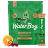 Waterboy- Hidratación de entrenamiento Paquetes de Polvo de Electrolitos Sin