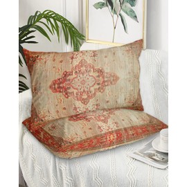 Vintage Bohemian Queen Pillow Cases Set of 2, Soft Breathable Pillow Covers with Envelope Closure Decorative Pillow Shams for Bed Sofa Couch Chair Abstract Ethnic Tribal Geometric 2 Pack 20"x30"