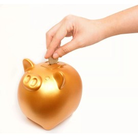 Dreams 6 Sound Effects Coink Gold Piggy Bank Coin Change Oink Boo Make Pig Noise & Save