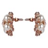 ASHI'S Collection rounded stud ear-ring with exquisite crystal and pearl.