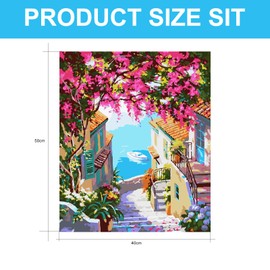 Thoquene Paint by Numbers Adult Paint by Numbers 40 x 50 cm with Frame