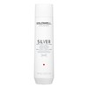 Goldwell Dualsenses Silver Shampoo 300mL, 12.486772486772486 oz.