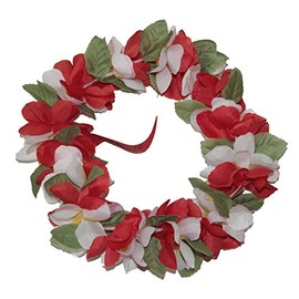 Rainview Creations Hawaii Floral Headband-haku Lei Elastic Hawaiian Haku Leis Headdress Color Red/white