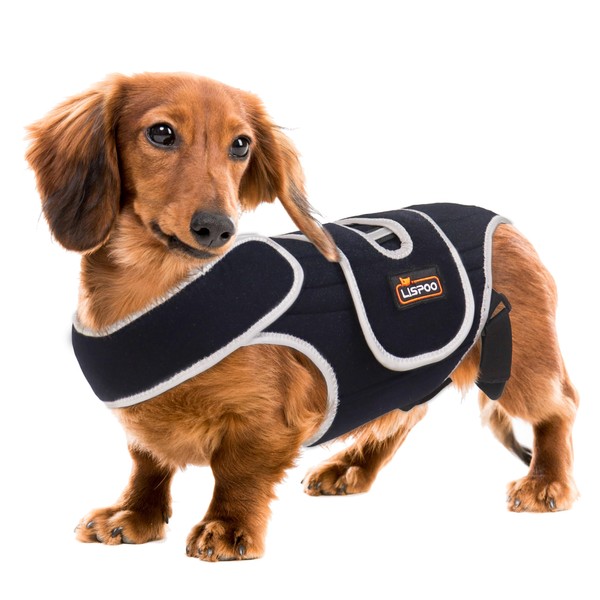 RIXBEO Dog Back Brace for IVDD and Slipped Discs -