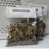PULMONARIA HIERBA 30 GR TOS PROBLEMAS RESPIRATORIOS GARGANTA CATARROS BRONQUIOS