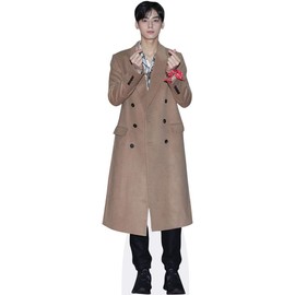 Cha Eun-Woo (Coat) Mini Size Cutout
