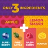 Fruit Snacks by Zest Delites, Fruit Leather Bars, Healthy Snacks