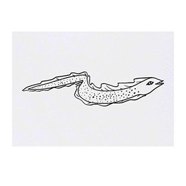 'Eel' Temporary Tattoo - Water Resistant, Skin-Safe, Non-Toxic Transfer (TO00027770)