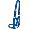 Weaver Leather Livestock Cow Barn Halter , Blue, Medium