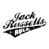 CafePress Jack Russells Rule Rectangle Bumper Sticker Car Decal