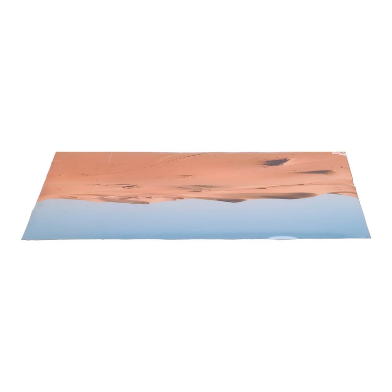 Aquarium Poster PVC Self Adhesive Waterproof 3D Desert Style Fish