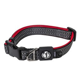 Franklin Pet Supply Nylon Dog Collar – Reflective – Comfort Fit – Neoprene – Adjustable