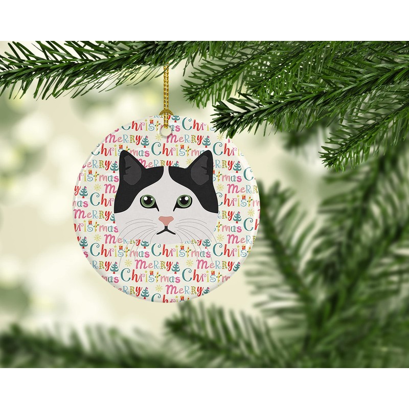 Ragamuffin Cat Christmas Ceramic Ornament