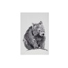 Maxwell & Williams Marini Ferlazzo Wombat Animal Tea Towel 100%