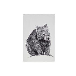 Maxwell & Williams Marini Ferlazzo Wombat Animal Tea Towel 100% Indian Cotton, White, 50 x 70 cm