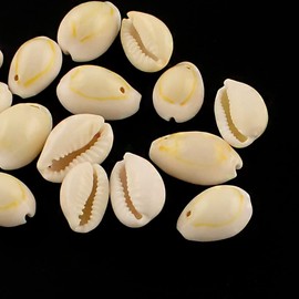 Boutigem 20Pcs Natural Cowrie Shell Beads Oval Sea Shell Beads for Jewelry Making DIY Bracelet Necklace Earring Summer Beach Craft Decor