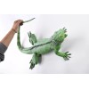 Dillon Iguana, Lizard, Museum Quality, Foam Rubber Reptile, Toy, Educational,