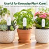 Soil Moisture Tester for Indoor Plants & Garden Watering –