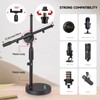 Microphone Stand Desk Adjustable Desktop Microphone Stand with Boom Arm