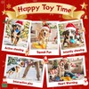 Zeaxuie 12 Pack Long-Lasting Heavy Various Dog Chew Toys Pack