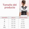 Adjustable Back Posture Belt Office Home Gym Unisex, Back Straightener