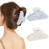 HAIMEIKANG 2Pcs Acrylic Flower Hair Claw Clips - Large Hair