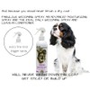 #1 All Systems Professional Grooming Kit for Cavalier King Charles