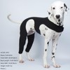 ROZKITCH Dog Pants to Prevent Licking for Rear Right Left