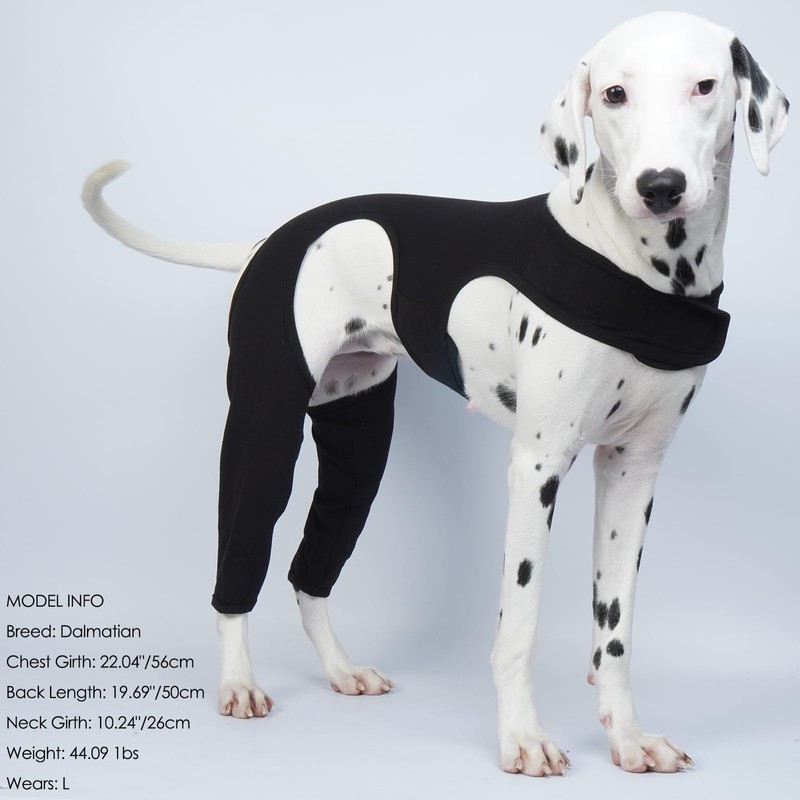ROZKITCH Dog Pants to Prevent Licking for Rear Right Left