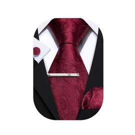 Barry.Wang Mens Tie Paisley Plaid Striped Floral Silky Necktie Pocket Square Cufflinks Clip Set Wedding Party Formal Business