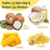 8 Pack Natural Lip Balm with Vitamin E and Coconut