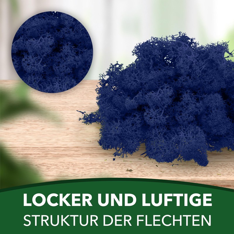 sphagnum-shop.com Real Decorative Moss Reindeer Moss in Royal Blue 500